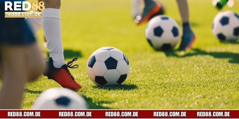 Bảng tỷ lệ kèo rung là gì trên website nhà cái RED88